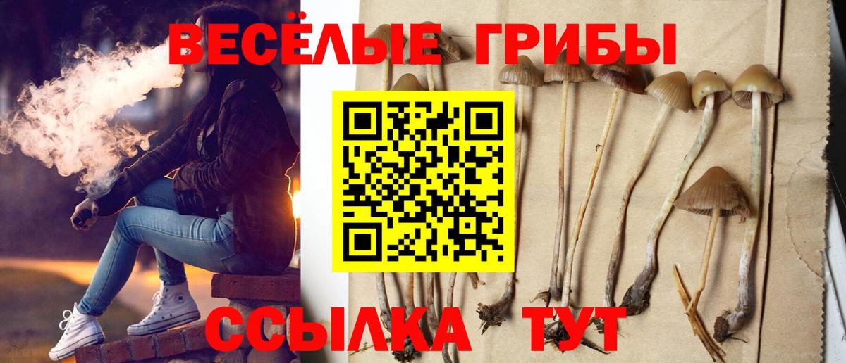 Галлюциногенные грибы прущие грибы Химки